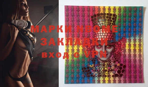 гашик Верея