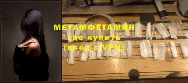 прущие грибы Верхний Тагил