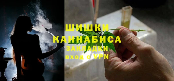 прущие грибы Верхний Тагил