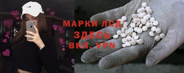 гашик Верея