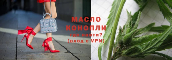 гашик Верея