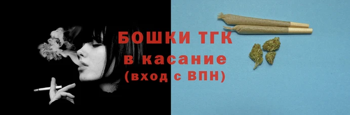 прущие грибы Верхний Тагил