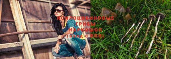 гашик Верея