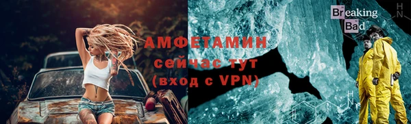 прущие грибы Верхний Тагил