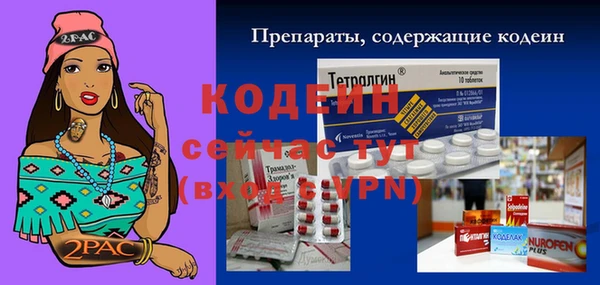 гашик Верея