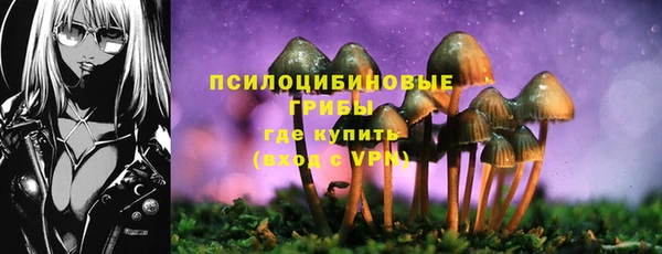 прущие грибы Верхний Тагил