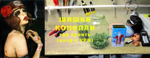 стаф Снежинск